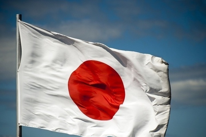 Половина японцев тайно поддерживает Россию – японский историк