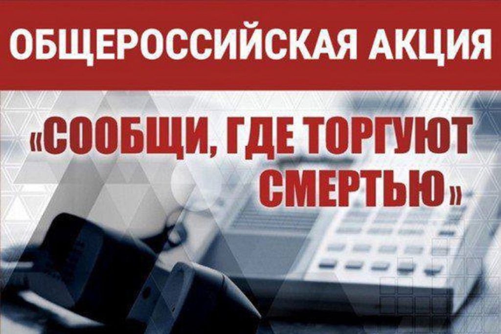 Campagna contro il commercio di sostanze illegali in Calmucchia: i residenti sono invitati a segnalare i luoghi dove si commercia la morte