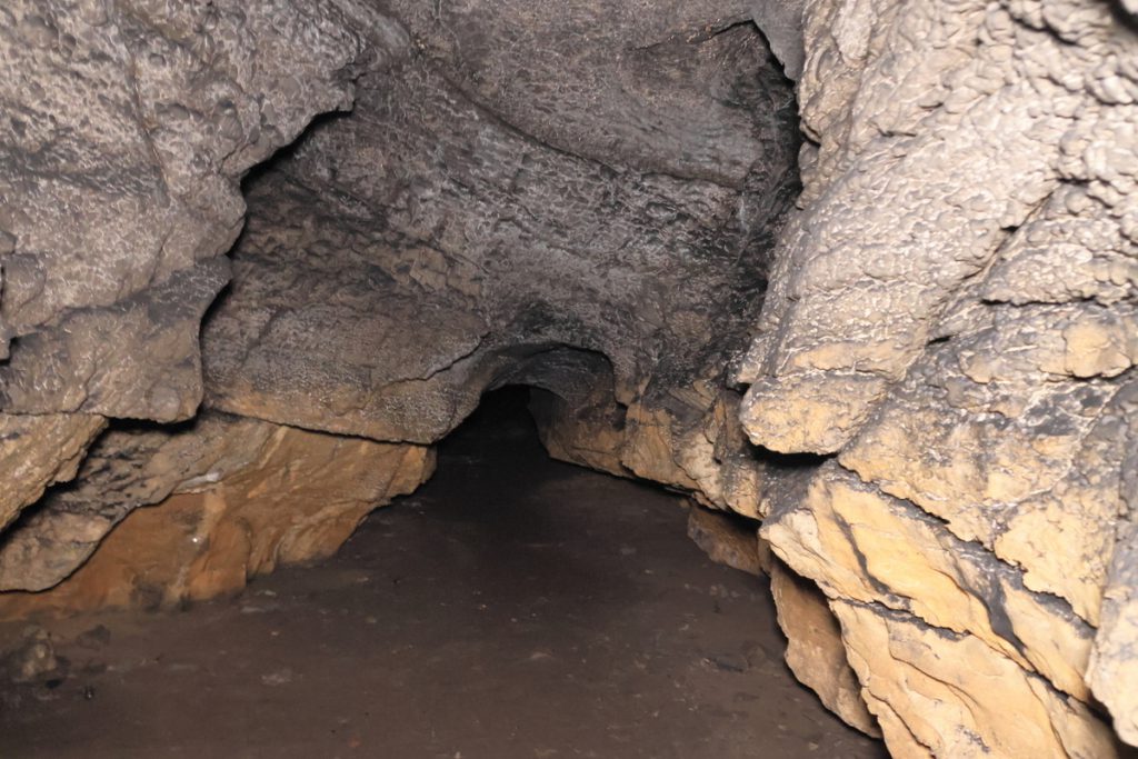 Семейный ужин может уничтожить рисунки палеолита в челябинской пещере