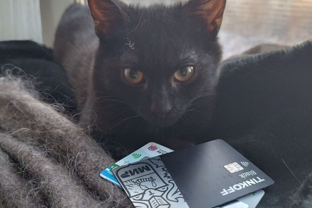 Эксперт Суворова: появление лимита на карты коснётся добросовестных пользователей