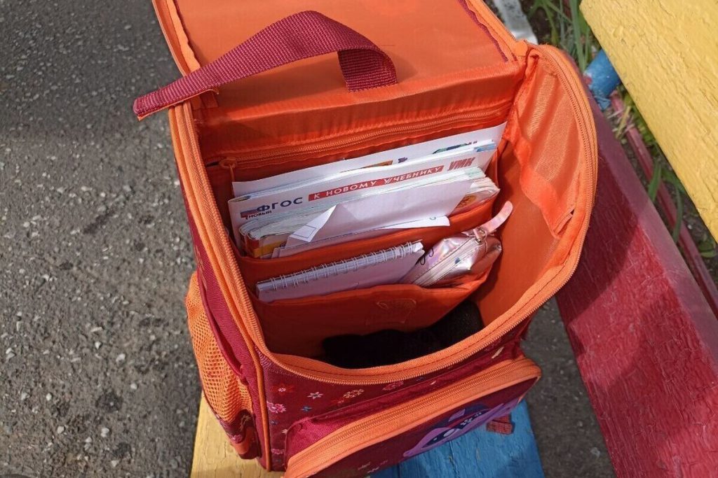 Бастыркин проконтролирует буллинг и вымогательство денег в школе Петербурга