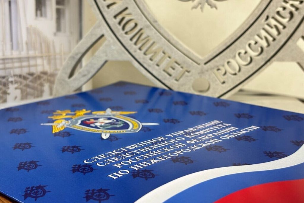 В Нижнем осудили группу, поддерживающую нелегальную миграцию