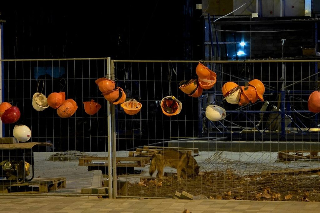 «Прошу набраться терпения»: Кондратьев прокомментировал ситуацию с пробками в Северском районе из-за капремонта