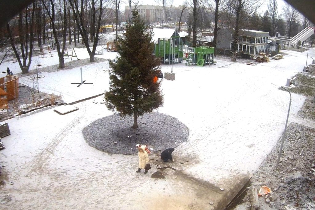 В Ярославском парке заменят усохшую после ремонта елку.