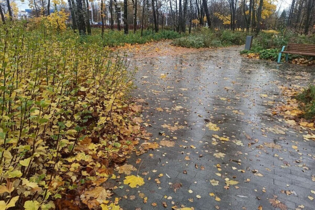 Previsioni meteo per Ivanovo: aumento delle temperature previsto per domenica 26 ottobre