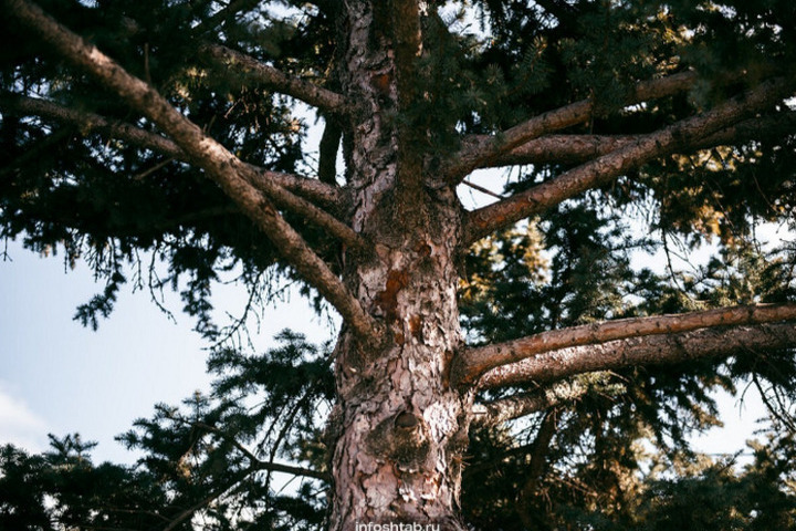 Il Giorno di Sergio d&#039;Inverno: Tradizioni e Credenze del 20 Ottobre nel Calendario Popolare Russo