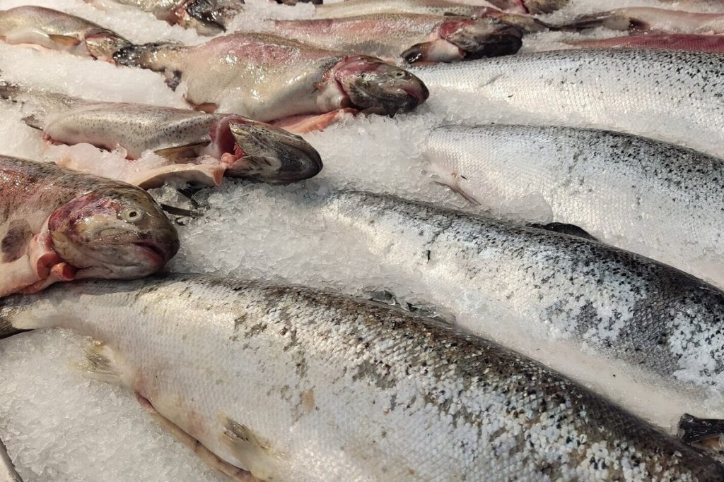 Подорожание рыбы в Петербурге связали с трудностями в логистике