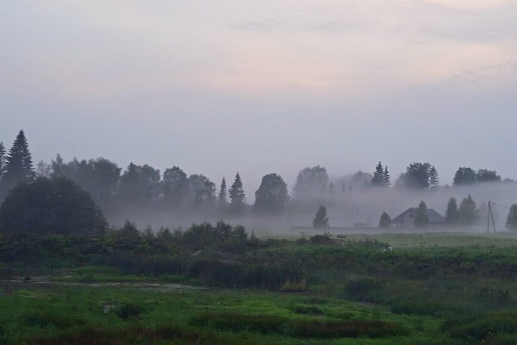 Спасатели рассказали о возобновлении поисков пропавшей семьи Усольцевых