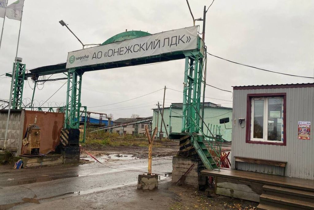 Плотник Онежского ЛДК получил тяжёлую травму на производстве