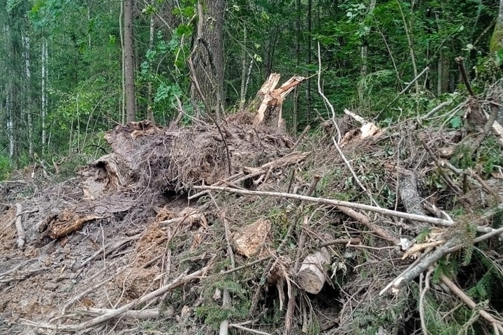 Gazprom sotto accusa per violazione delle norme di sicurezza antincendio nella costruzione di un gasdotto ad Aleksandrov