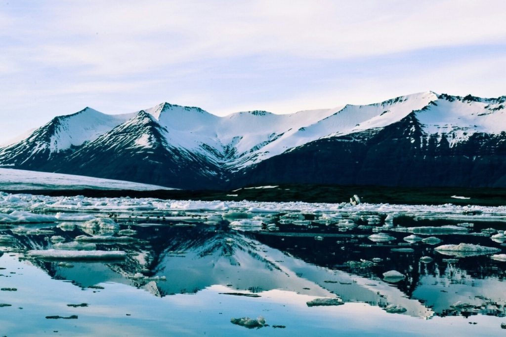 Prima segnalazione di zanzare in Islanda: un evento storico con possibili conseguenze per la salute pubblica e l&#039;ecosistema del paese