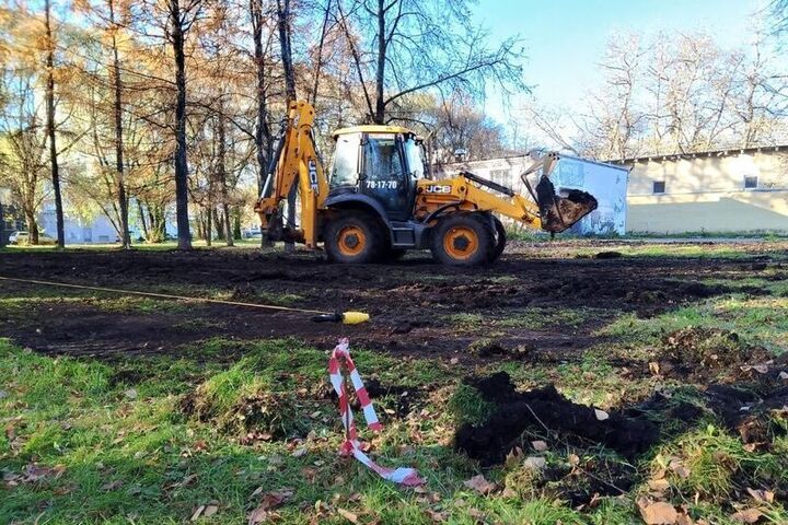 Комфорт для четвероногих: в Кирове обустраивают площадку для выгула собак