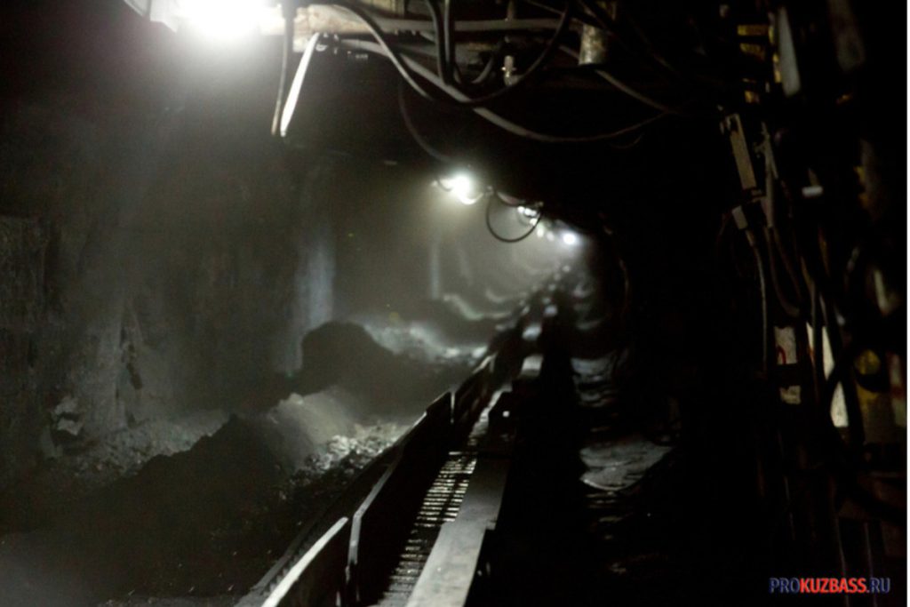 Лиса обосновалась на кузбасском разрезе