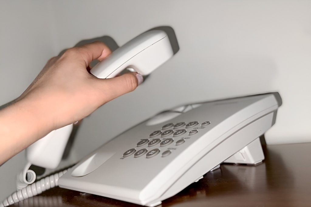 Lucertola morta trovata in un barattolo di piselli verdi in scatola: le possibili conseguenze per la salute pubblica e la reputazione dell&#039;azienda produttrice