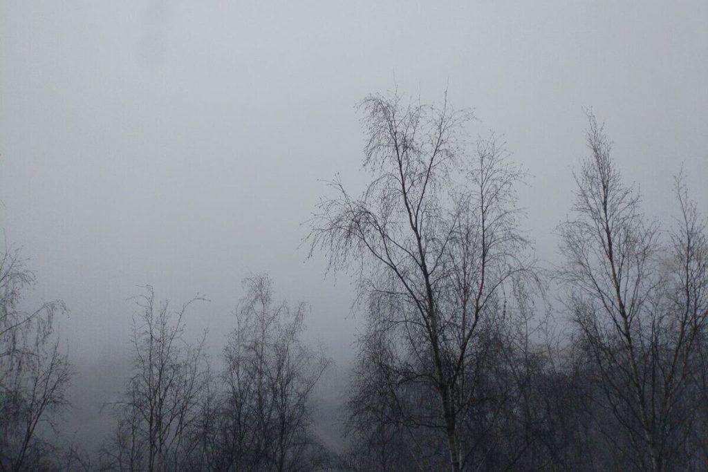 В Калининград пришли мороз и туман, но днем потеплеет до +10