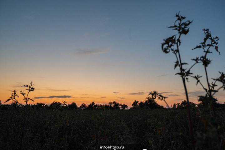 С 1 ноября открывается сезон на пушных зверей и дичь в Астраханской области