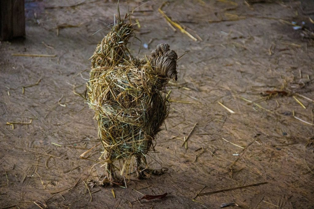 В селе Высокое под Тулой ликвидирован пожар в курятнике