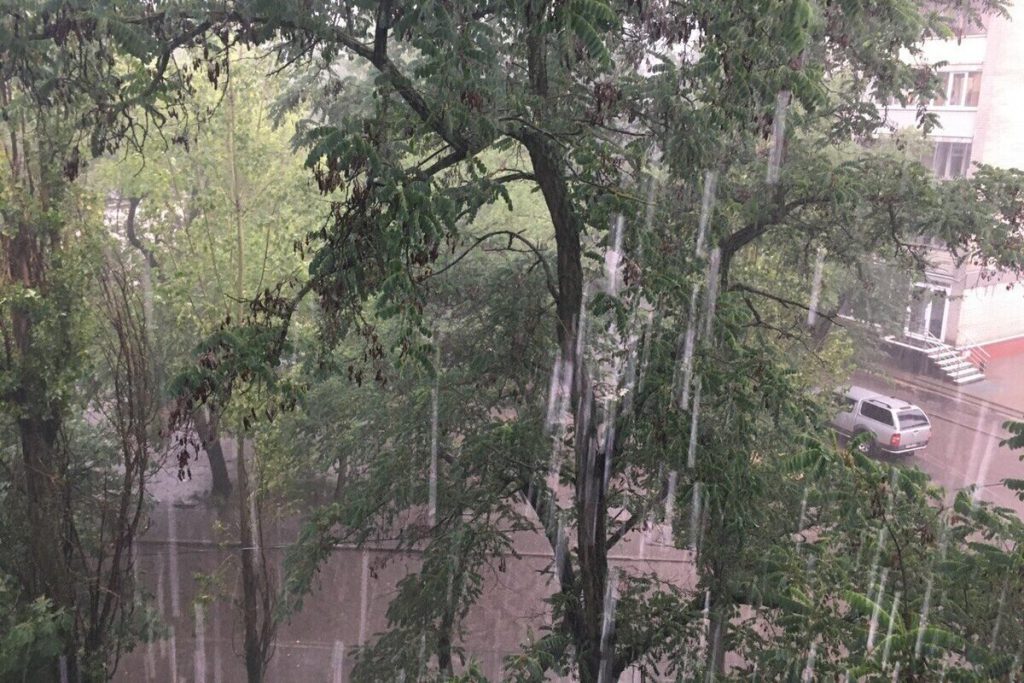 В Воронежской области будет безветренно и мокро