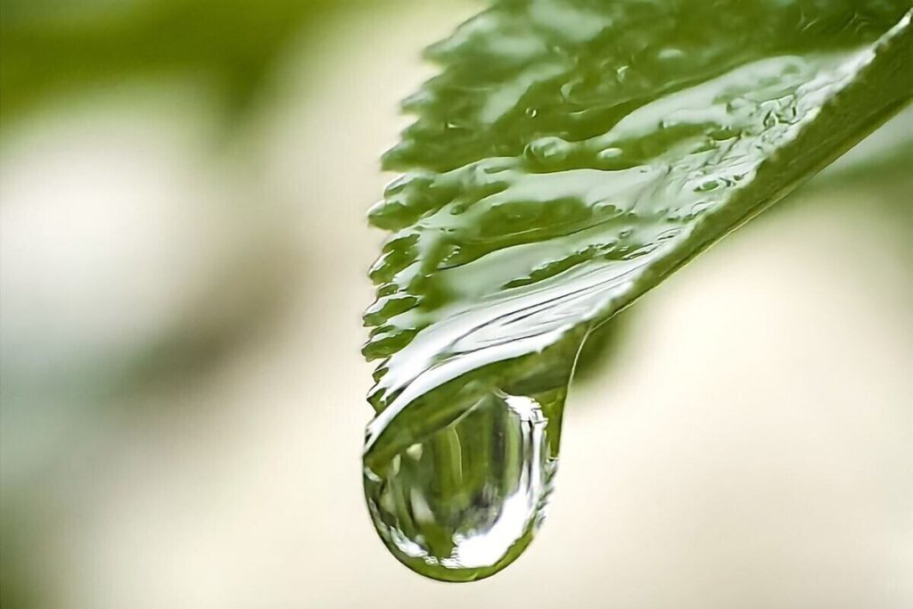 Экологический кейс-турнир для молодёжи пройдёт в Петербурге