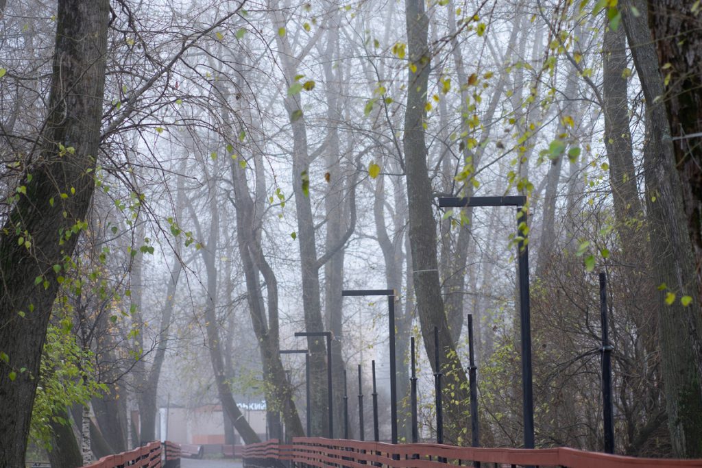 Среда в Архангельской области будет холодной и даже снежной