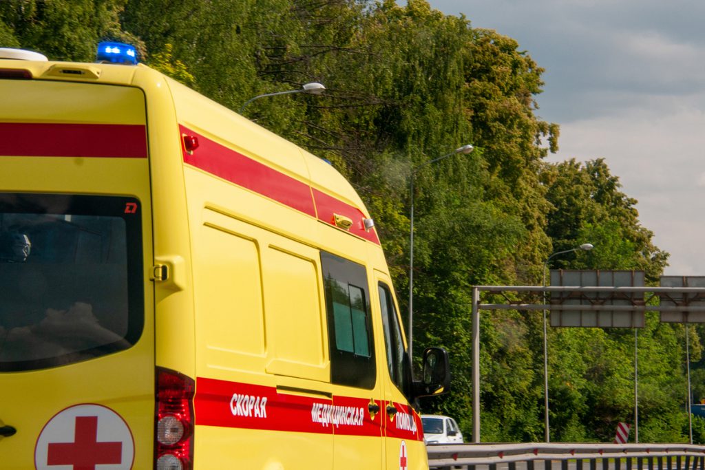 Конь терзал пенсионерку, пока пьяный хозяин спал