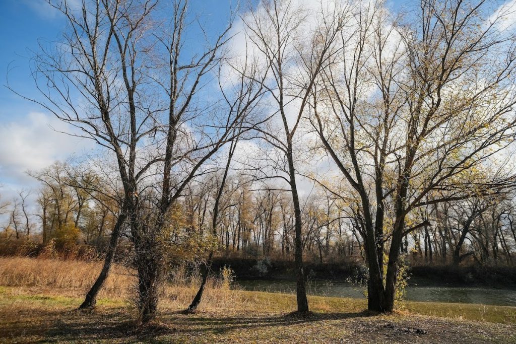 Дожди и до +18 ℃ обещают 14 октября жителям Астраханской области