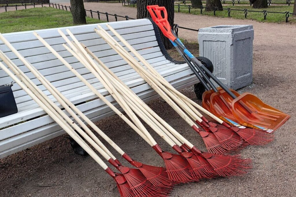 Iniziativa Ecologica a Kalingrado: Il Parco di Primorje Si Impegna per la Tutela dell&#039;Ambiente