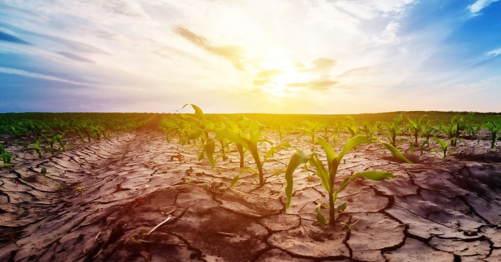 Siccità in Puglia: la crisi idrica mette a rischio la produzione agricola nella regione

Approfondimento
La siccità è un problema ricorrente nel Sud Italia, dove la disponibilità di acqua è già limitata. La situazione è aggravata dal cambiamento climatico, che sta causando un aumento delle temperature e una riduzione delle precipitazioni. L&#039;ANBI sta lavorando per potenziare le infrastrutture idriche e migliorare la gestione dell&#039;acqua, ma è necessario un impegno più ampio per affrontare questo problema.

Possibili Conseguenze
La siccità potrebbe avere gravi conseguenze per l&#039;agricoltura e l&#039;economia della regione. La riduzione della produzione agricola potrebbe causare perdite economiche significative per gli agricoltori e gli allevatori, e potrebbe anche avere un impatto negativo sulla sicurezza alimentare.

Opinione
È fondamentale che le autorità locali e nazionali prendano misure concrete per affrontare la siccità e garantire un&#039;adeguata fornitura di acqua per l&#039;irrigazione. Ciò potrebbe includere l&#039;investimento in infrastrutture idriche, la promozione di pratiche agricole sostenibili e la gestione efficiente dell&#039;acqua.

Analisi Critica dei Fatti
La situazione idrica nel Sud Italia è complessa e richiede un&#039;analisi approfondita. È necessario considerare i fattori climatici, geografici e socioeconomici che influenzano la disponibilità di acqua e la gestione dell&#039;irrigazione. Un&#039;analisi critica dei fatti può aiutare a identificare le soluzioni più efficaci per affrontare la siccità e garantire un&#039;adeguata fornitura di acqua per l&#039;irrigazione.

Relazioni con altri fatti
La siccità nel Sud Italia è collegata ad altri problemi ambientali e socioeconomici, come il cambiamento climatico, la gestione delle risorse idriche e la sicurezza alimentare. È importante considerare queste relazioni per sviluppare soluzioni integrate e sostenibili per affrontare la siccità e promuovere lo sviluppo economico e sociale della regione.

Contesto storico
La siccità è un problema ricorrente nel Sud Italia, con episodi di siccità significativi registrati nel corso degli anni. La regione ha una storia di gestione delle risorse idriche complessa, con investimenti in infrastrutture idriche e pratiche agricole sostenibili. Tuttavia, la siccità rimane un problema persistente che richiede un impegno continuo per affrontarla.

Fonti
Il presente articolo è basato su informazioni fornite da ANBI - Associazione Nazionale dei Consorzi di Bonifica e Irrigazione. Per ulteriori informazioni, si consiglia di visitare il sito web ufficiale dell&#039;ANBI.