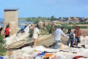 L&#039;azione per gli oceani si intensifica in Africa mentre i leader della biodiversità chiedono una sinergia e una riforma dei finanziamenti urgenti per proteggere la biodiversità marina