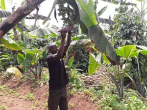 Sicurezza Alimentare Globale: Progressi e Sfide nella Lotta contro la Fame