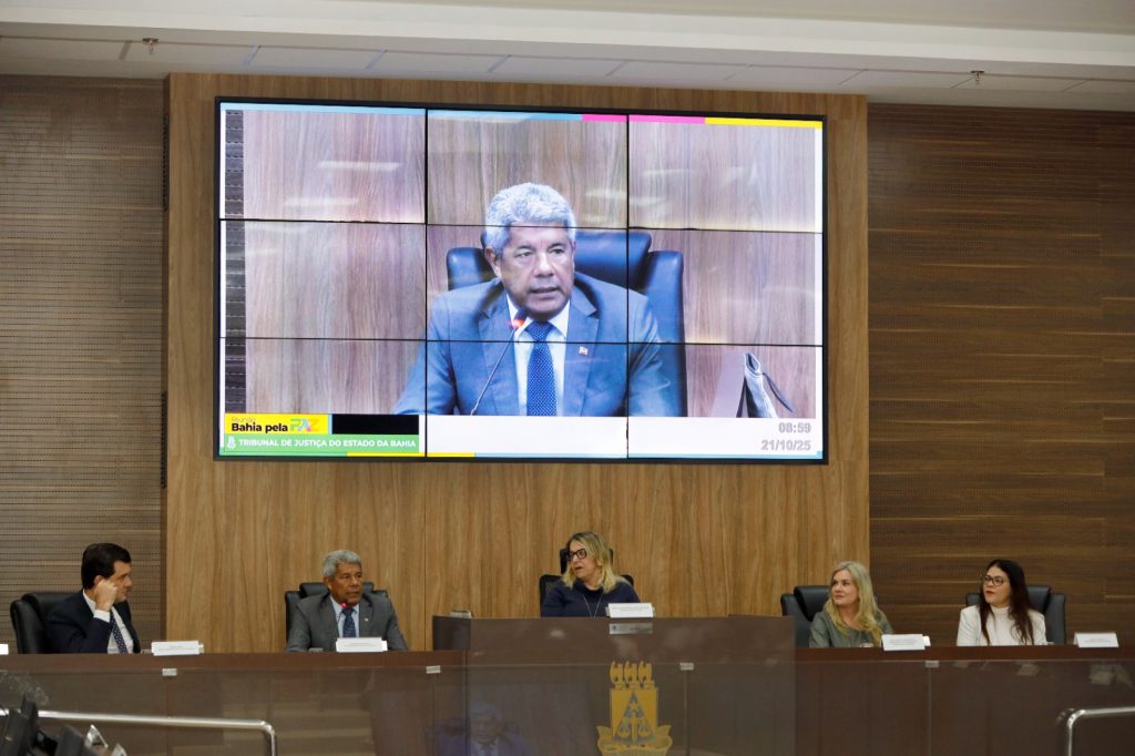 Gratuità per bagagli a mano in volo: il Senato approva la misura per voli nazionali e internazionali