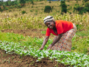 From Reforestation to Low-Emission Food, Climate Action Starts with Seeds