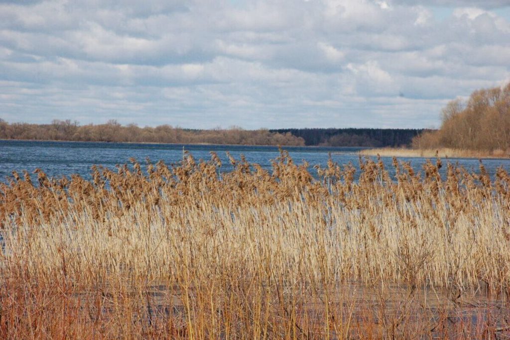&#034;Начинается период предзимья&#034;: погода на всей территории России переходит в зимний режим