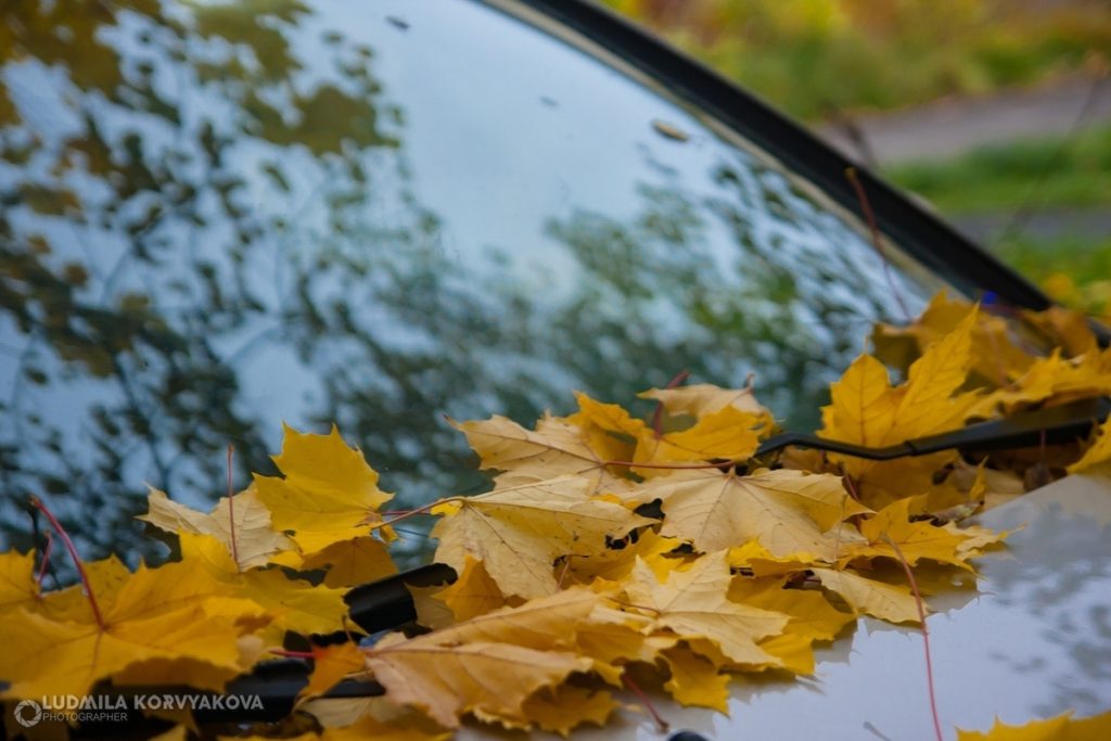 Previsioni Meteo per il 15 Ottobre in Carelia: Pioggia e Freddo Attesi nella Regione