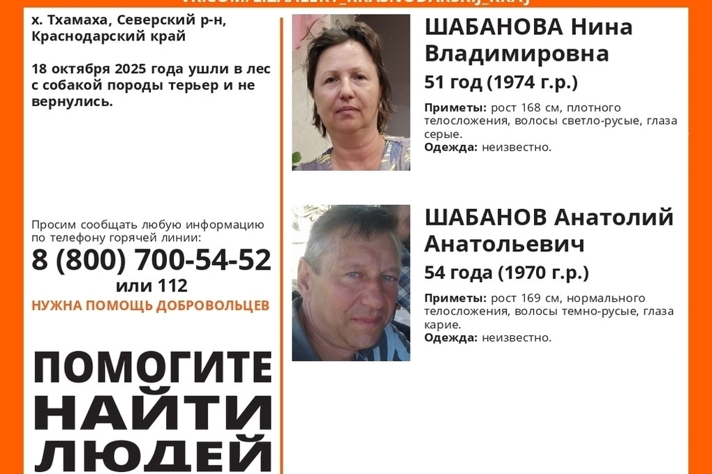 В лесу Краснодарского края третьи сутки ведут поиски семьи с собакой