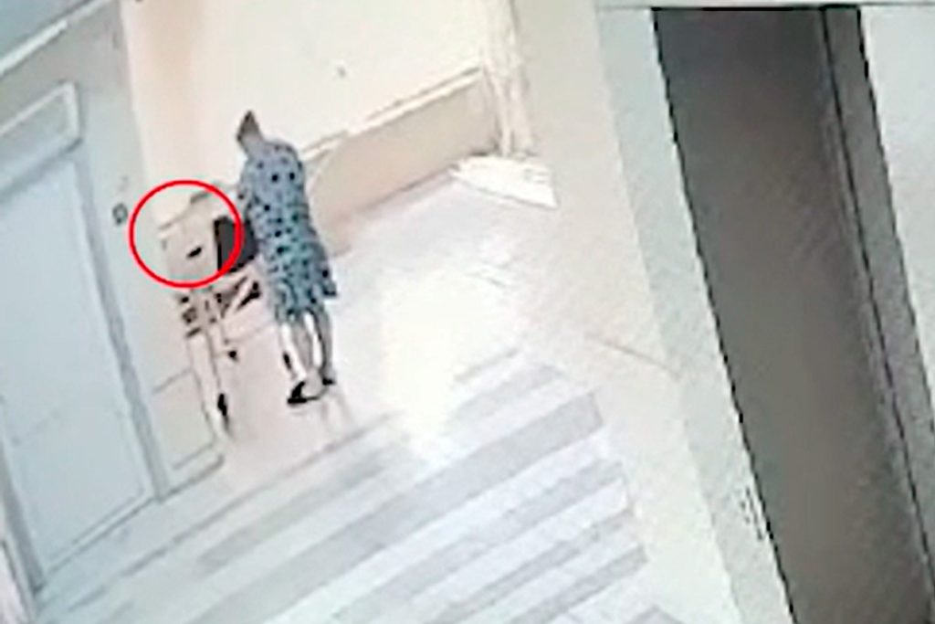 Portafoglio smarrito a Lipetsk: un caso di furto con possibili conseguenze legali