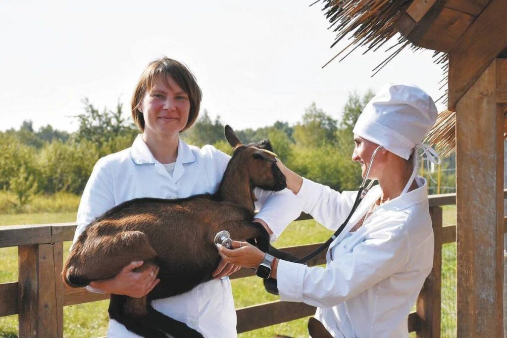 Губернатор Алексей Беспрозванных поздравил аграриев с профессиональным праздником