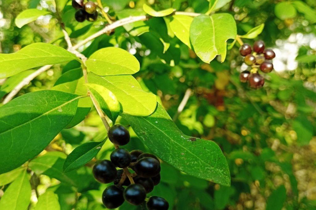 Сила магнитной бури 22 октября составит 2 балла: день обладает особой энергией действия