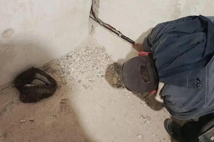 Restauro della Casa della Cultura a Osipenko: un Passo Avanti per la Comunità Locale con l&#039;Aggiornamento dell&#039;Infrastruttura Elettrica