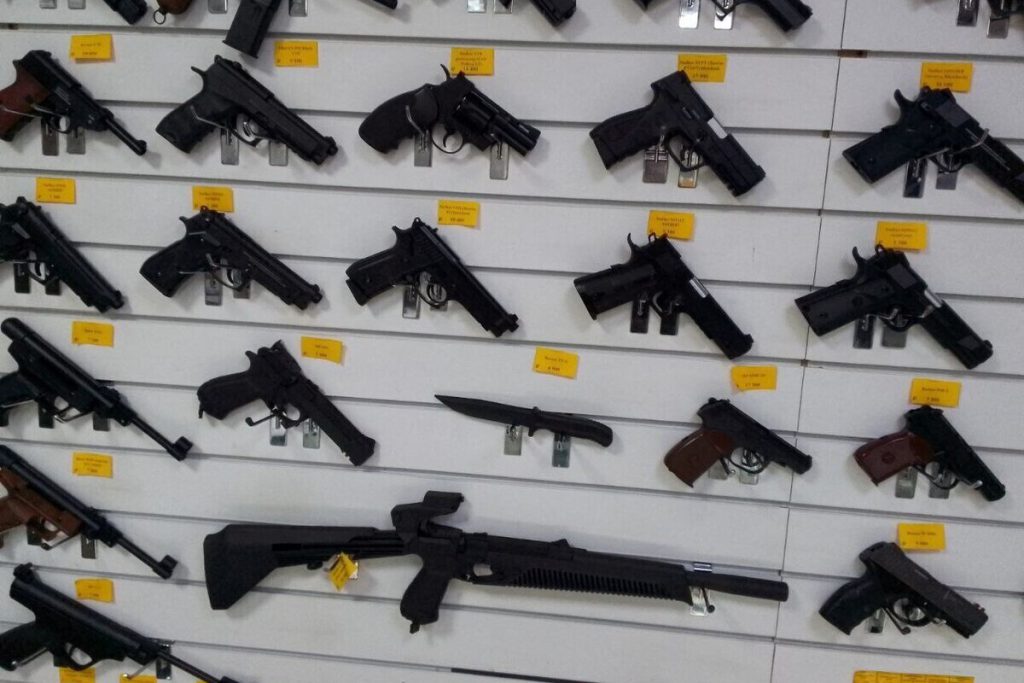 Conflitto nel bosco della regione di Leningrado: uomo arrestato dopo aver sparato in aria