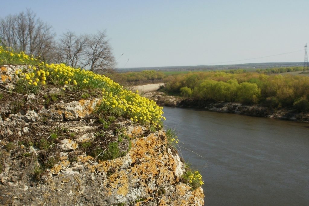 К столетию «Галичьей горы» в Липецке подготовили тематическую выставку