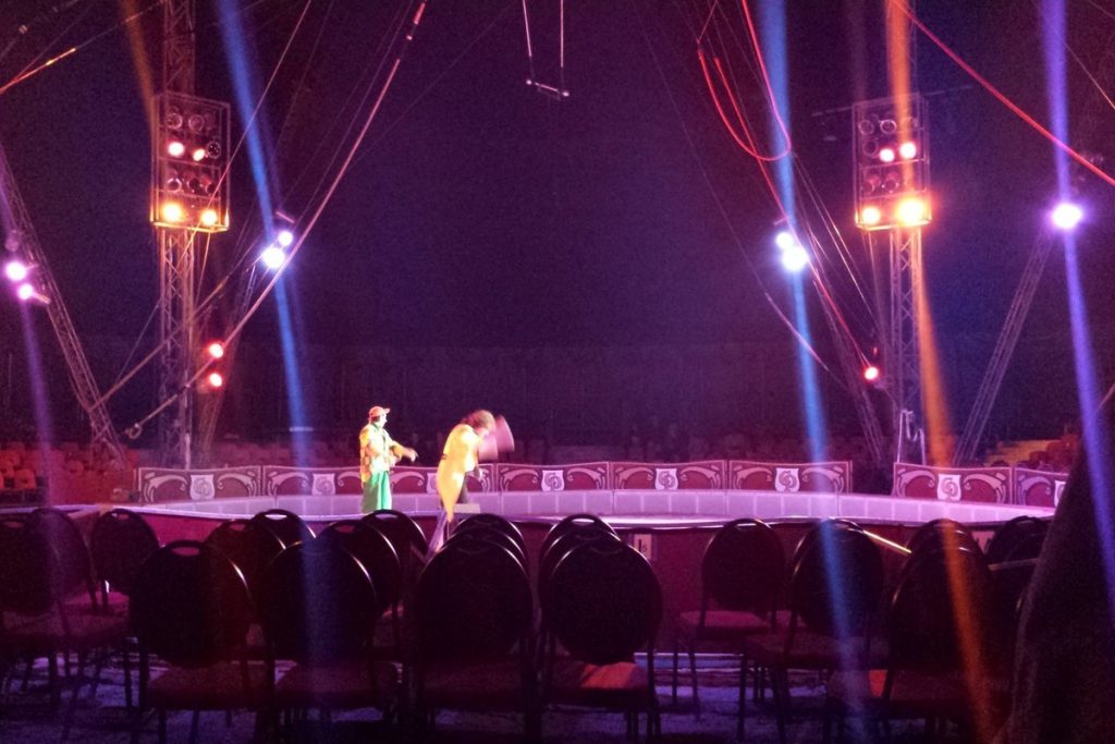 Луганский госцирк отреставрируют на средства от новой цирковой программы