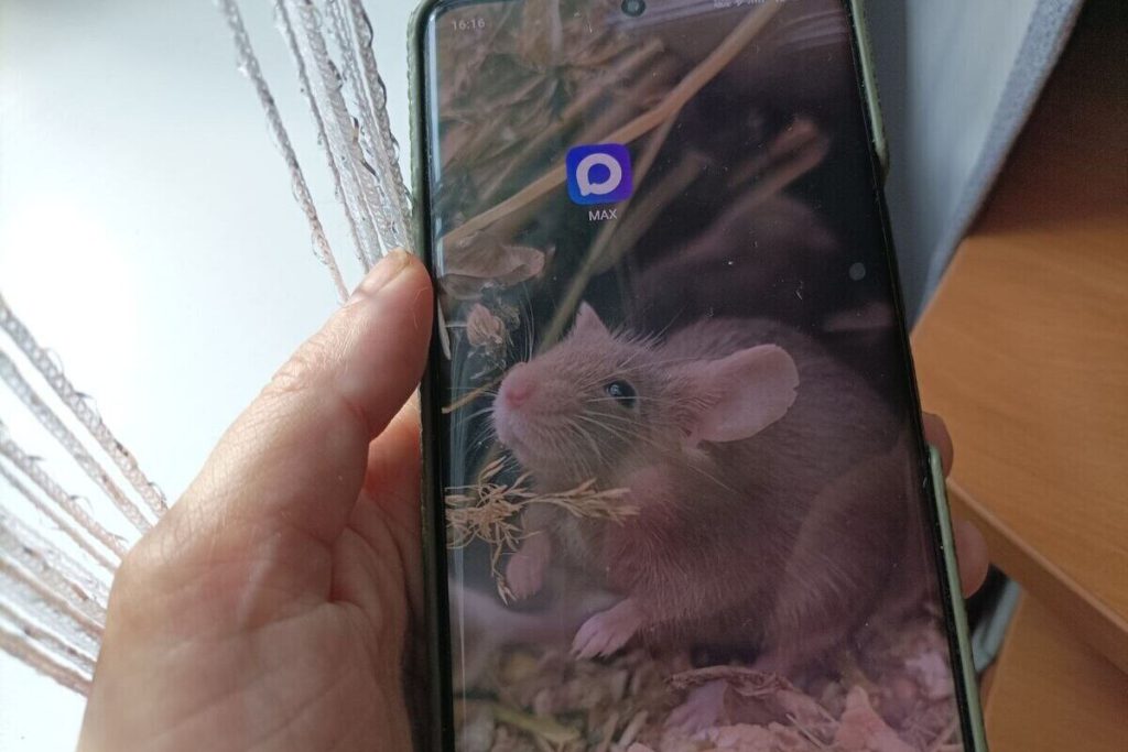 L&#039;applicazione MAH si espande: i ministeri della Cultura e dello Sport della Regione di Vologda sono ora online