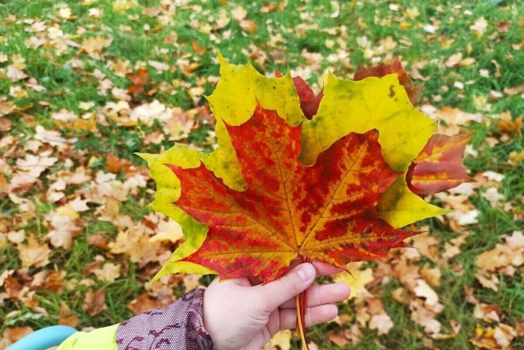 Tempesta imminente nella regione di Ivanovo: previsioni allarmanti per il fine settimana