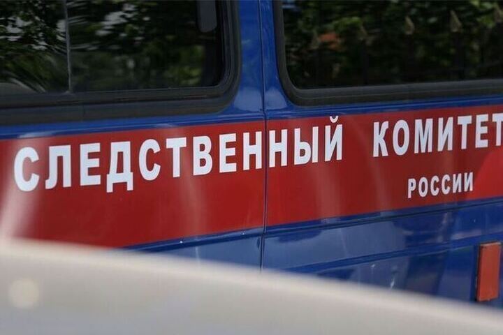 Бастрыкин поручил возбудить дело из-за нападения на девушку в Краснодаре