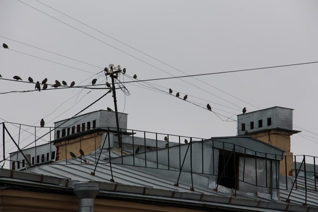 Жильцы дома в Зеленоградске попросили срочно отремонтировать крышу до нового ливня