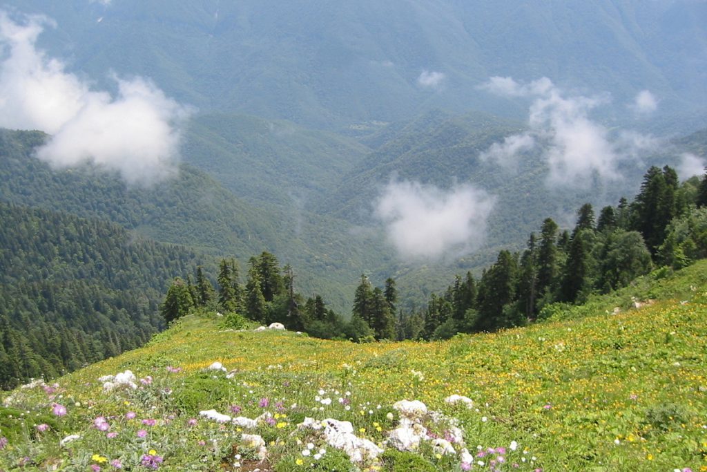 La Banca Centrale Annulla il Voto per il Design della Banconota da 500 Rubli: Reazione del Ministro Dudaev e Possibili Implicazioni per la Politica Monetaria e l&#039;Identità Nazionale