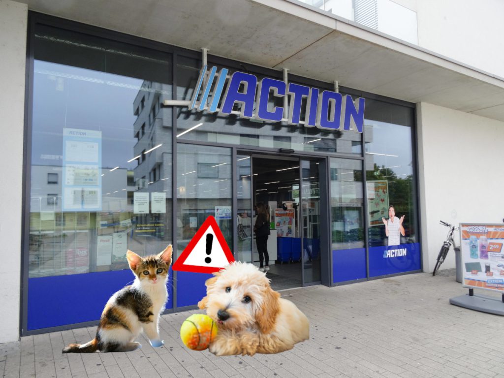 Ikea, Action &amp; Co.: Experte warnt – dieses Produkt ist für Tiere hochgefährlich