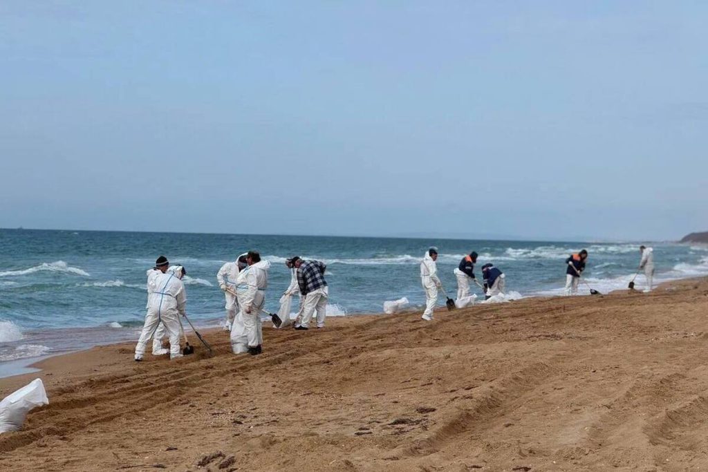 Глава МЧС Куренков прибыл в Анапу для контроля очистки побережья после разлива нефти