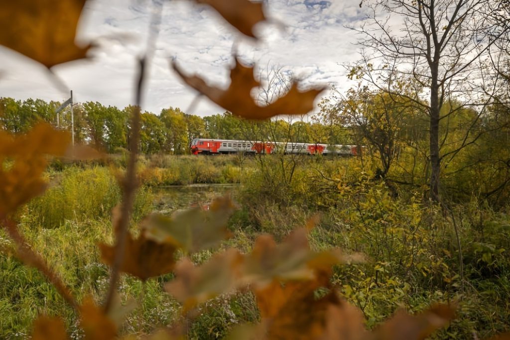 11,5 milioni di persone trasportate dai treni suburbani nella regione di Nizhny Novgorod: un&#039;analisi dei dati e delle possibili conseguenze per l&#039;economia e la qualità della vita dei residenti